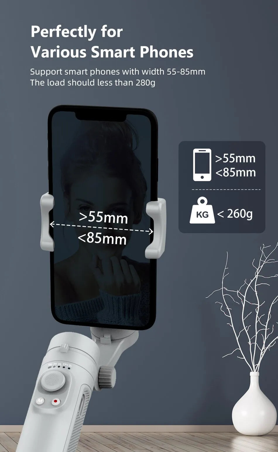 SteadyFlow - Cell Phone Stabilizer 