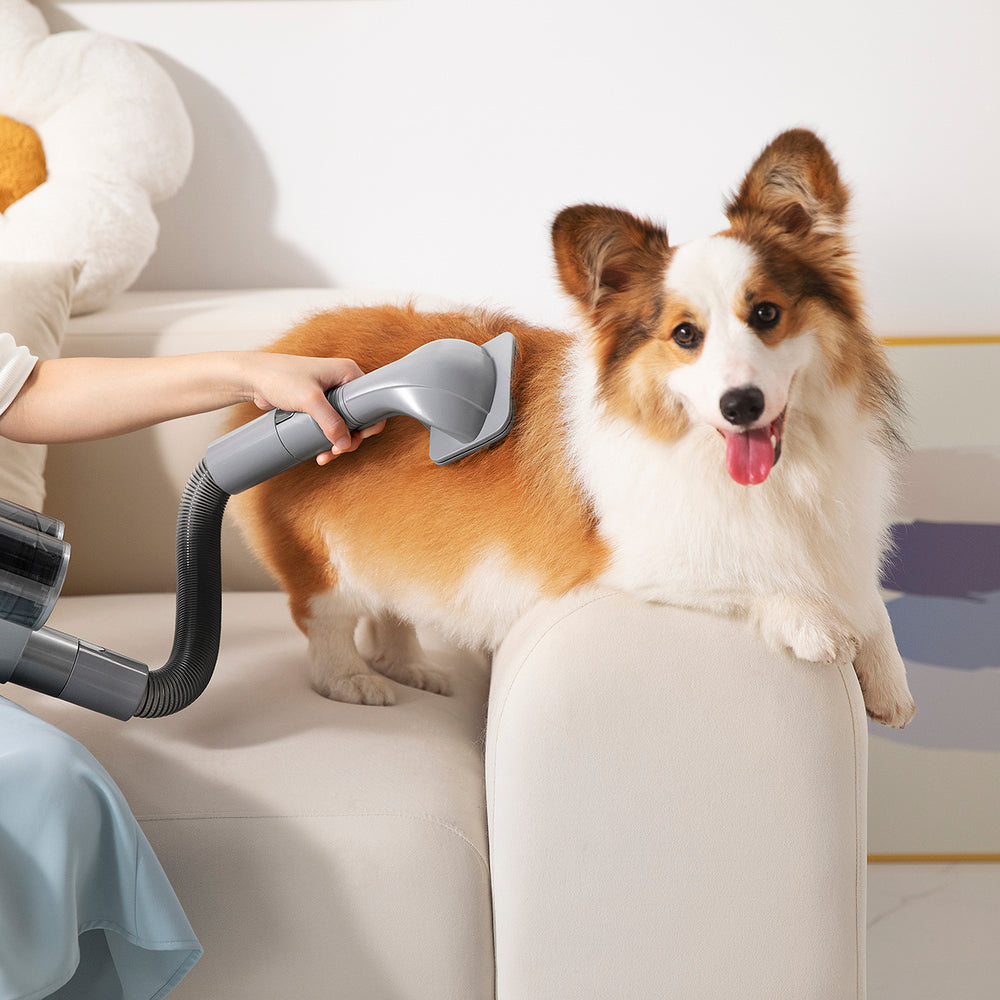 Aspirador Vertical Sem Fios UWANT V100 com Estação 4 em 1